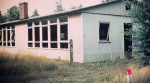 Vossenbosch